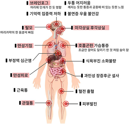 신체부위별 증상