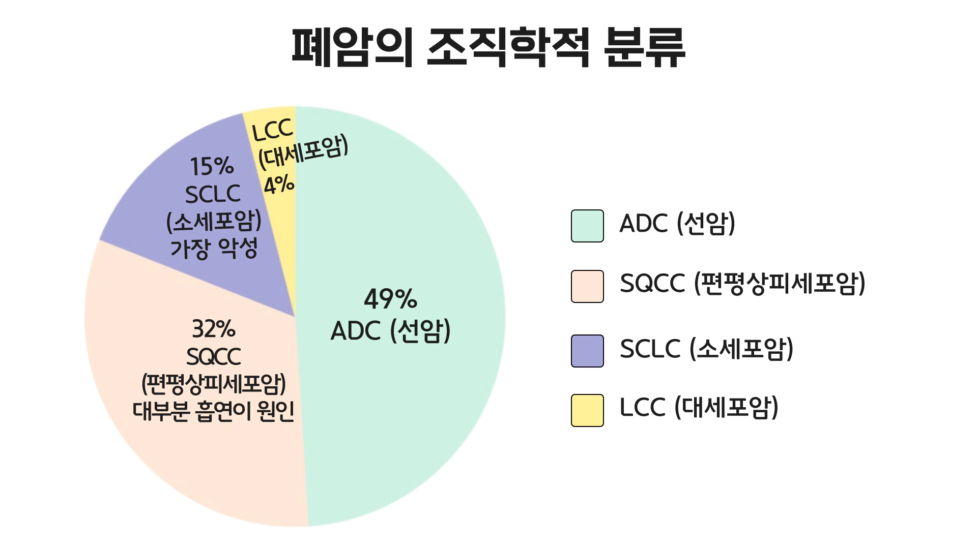 폐암&폐질환 치료약 이미지